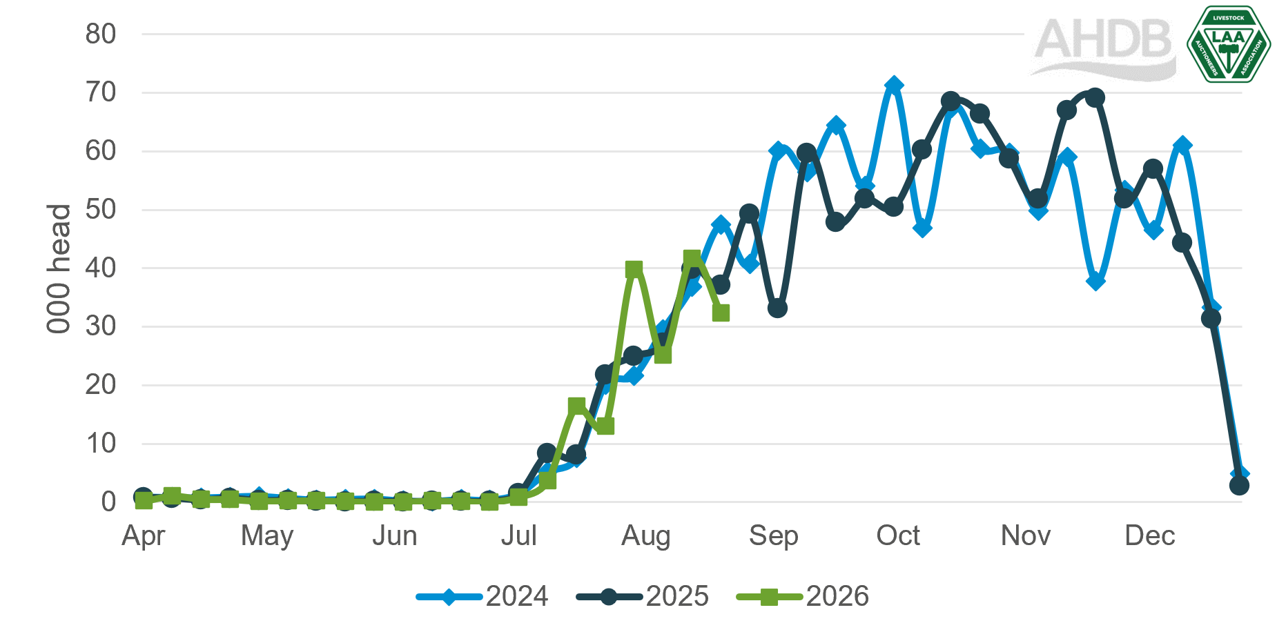 A line chart showing new season store lamb throughputs in England & Wales. Trends for 2024 are shown